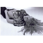 missnet-sejmout0008.jpg
Počet zobrazení: 1516 (6736.7938 dní) pr.=0.2250
Rozměr: 874 x 600 pixel
Velikost: 73.71 kB