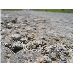 Zobrazeno: 12609 (6502.2493 dn) pr.=1.9392 
Znmka: 2.0081 (1476 x) 
SMS bod: 0/0