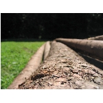 m144_4487.jpg
Poet zobrazen: 3635 (6518.1726 dn) pr.=0.5577
Rozmr: 1600 x 1200 pixel
Velikost: 413.868 kB