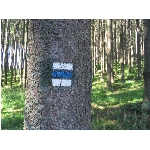 m145_4512.jpg
Poet zobrazen: 3730 (6518.0299 dn) pr.=0.5723
Rozmr: 1600 x 1200 pixel
Velikost: 679.248 kB