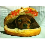 hotdog.jpg
Poet zobrazen: 3684 (6516.1063 dn) pr.=0.5654
Rozmr: 550 x 403 pixel
Velikost: 24.509 kB