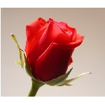 if-04257.jpg
Poet zobrazen: 3329 (6519.9233 dn) pr.=0.5106
Rozmr: 350 x 300 pixel
Velikost: 14.471 kB