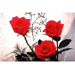 jf-02869.jpg
Poet zobrazen: 3767 (6521.4529 dn) pr.=0.5776
Rozmr: 350 x 233 pixel
Velikost: 28.413 kB