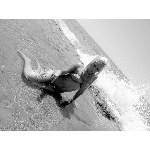 d5.jpg
Počet zobrazení: 1349 (5706.3893 dní) pr.=0.2364
Rozměr: 600 x 450 pixel
Velikost: 142.136 kB