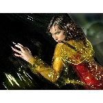 111092479.jpg
Počet zobrazení: 1528 (6491.0503 dní) pr.=0.2354
Rozměr: 600 x 449 pixel
Velikost: 240.197 kB